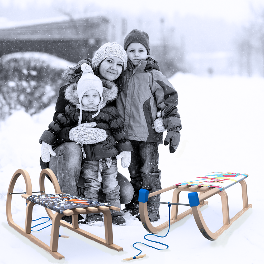 Davos Sled Plans Download Davos Sled Plans Download