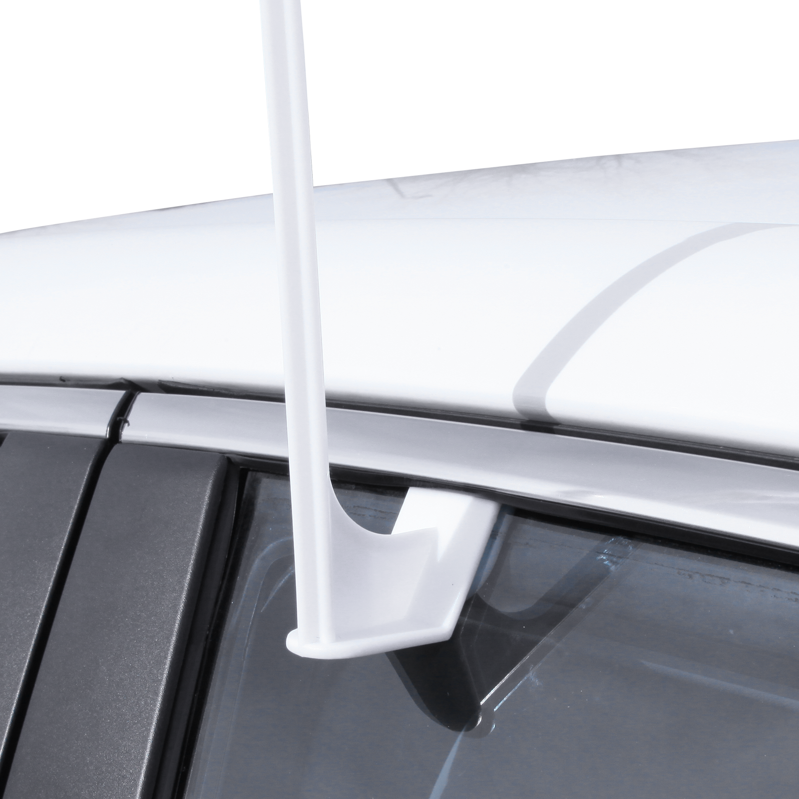 Parade Flag Pole Tex Visions