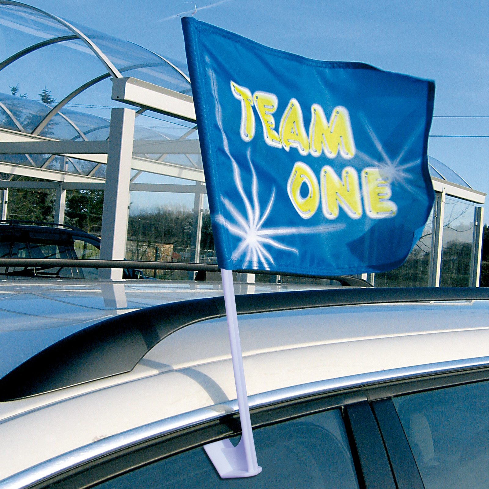 Custom Car Lot Flags Dealership Flags Tex Visions